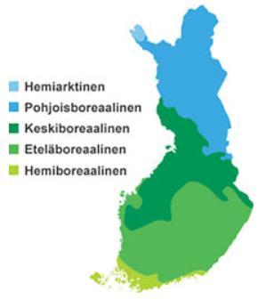 Vyöhyke rajoittuu pohjoisessa tundraan ja etelässä lauhkean vyöhykkeen seka- ja lehtimetsiin ja aroihin.