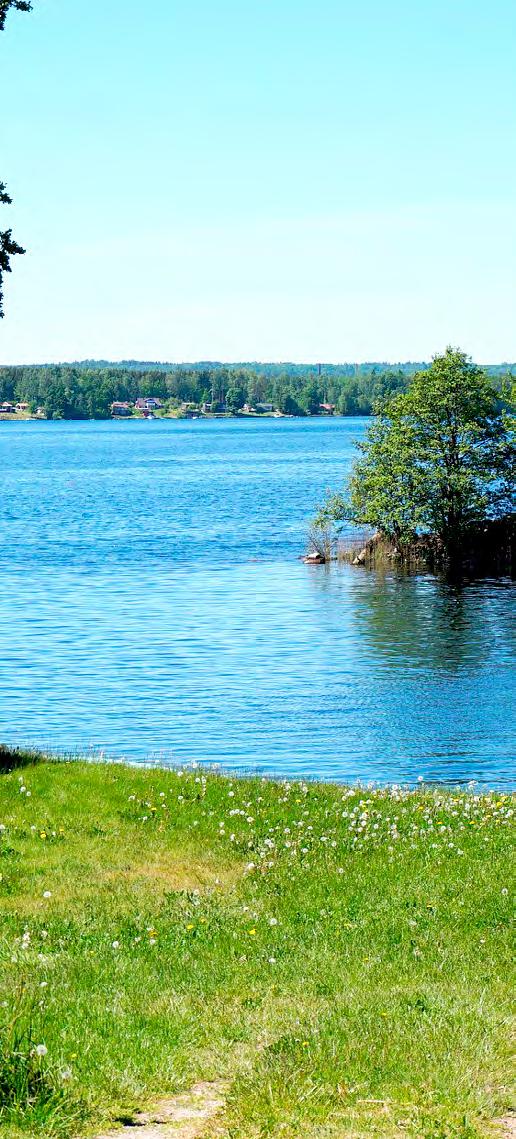 Voinko muuttaa asumaan kesämökille? Rakentaminen Kemiönsaarella Kyllä, se voi olla mahdollista.