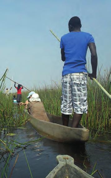 Laajoja suola-aavikoita löytyy ja sadeaikana niistä tulee isoja järviä. Okavangon suistoalue on vehreä alue muuten hyvin kuivassa maassa, täällä löytyy paljon eläimiä mm. norsuja ja puhveleita.