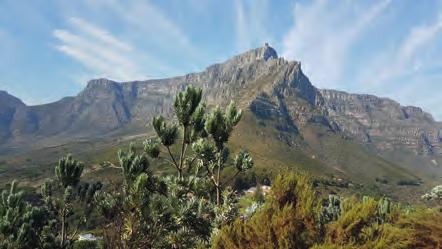Kapkaupunki ja Garden Route 27.1.-8.2.2018, 30.3.-11.4.2018, 10.-21.7.2018 ja 24.11.-5.12.2018 Etelä-Afrikan luonto - vaikka tutustumme vain osaan tätä suurta maata - on mahtava, jylhä ja värikäs.