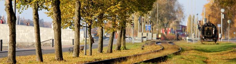 Varhaiskasvatus