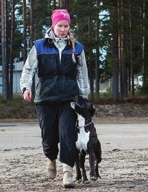 Näyttelytuloksia Rally-TOKO Decas Enna Ohjaaja/omistaja: Eveliina Härkönen 29.1.2017 Iisalmi, Tuomari: Hillebrand Minna, ALOHYV, 94p 29.1.2017 Iisalmi, Tuomari: Linterhofer Tytti, ALOHYV, 98p 12.