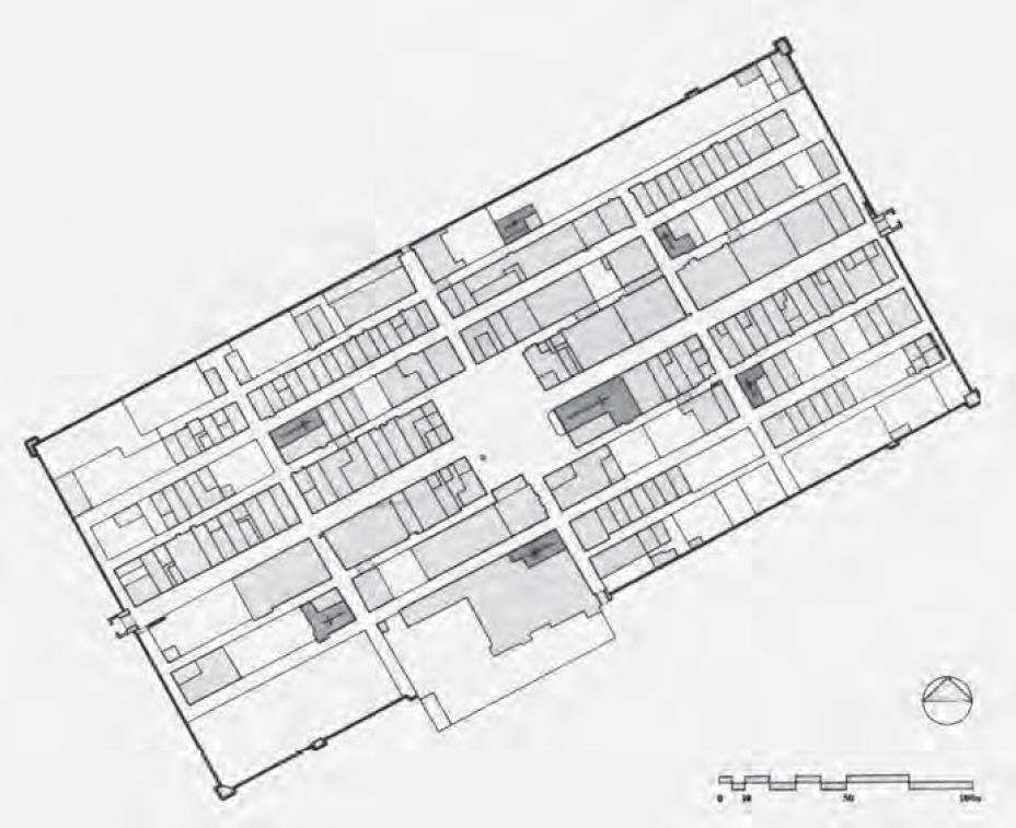 TERRANUOVA