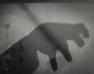 kesäkuuta 1940 syntyneen Víctor Ericen lapsuuden aikaa. Vaikka tarina on puhdas fiktio, se saa kuitenkin vivahteita kahden käsikirjoittajansa, Ericen ja Fernández-Santosin (syntynyt 1934) muistoista.