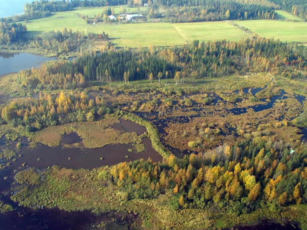 Kosteikot Hoitotoimia: raivaus, lietteen