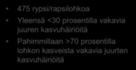 prosentilla lohkon kasveista