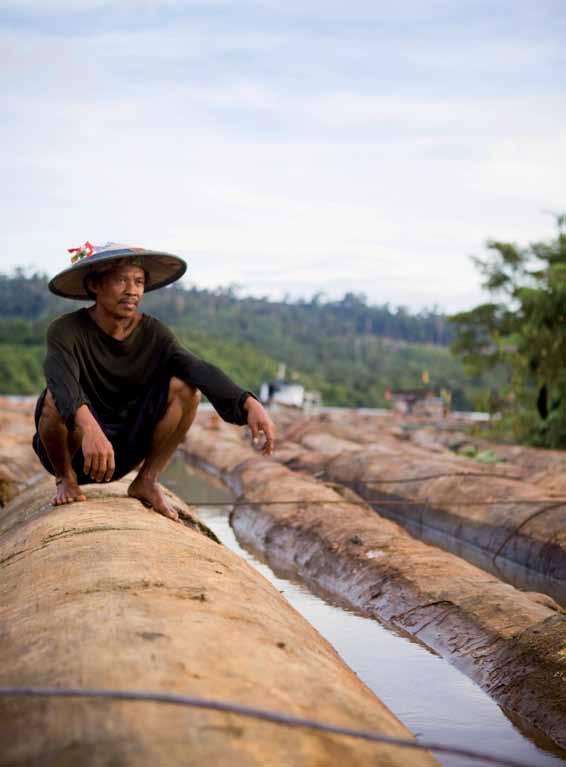 Suojelutoiminta INDONESIA: BORNEON sademetsien suojelu WWF Suomi suojelee Borneon ainutlaatuisia trooppisia sademetsiä saaren Indonesialle kuuluvassa osassa, Keski-Kalimantanin provinssissa.