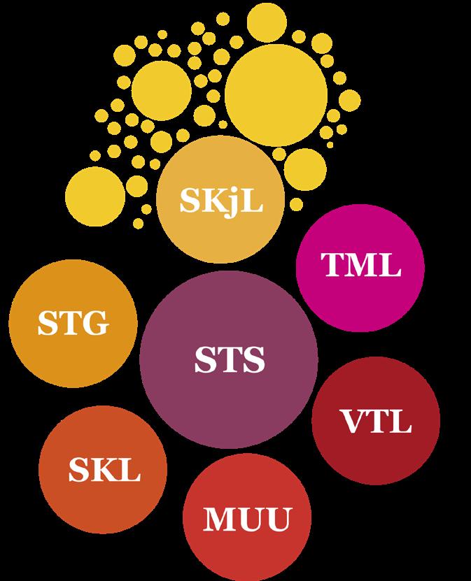 SUOMEN TAITEILIJASEURA ON KUVATAITEEN ASIANTUNTIJA Suomen Taiteilijaseura on valtakunnallinen kuvataiteilijoiden ja kuvataiteen puolestapuhuja. Visiomme on Vahva kuvataide hyvinvoiva kuvataiteilija.