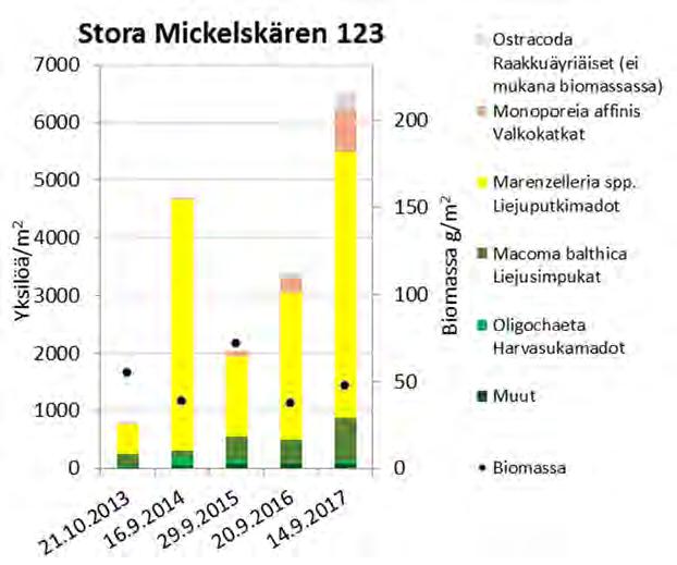 Kuva 6.6. Stora Mickelskärenin (123) pohjaeläinten yksilömäärät ja biomassat vuosina 2013-2017.