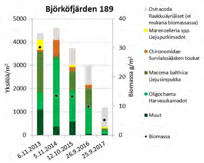 Kuva 6.21. Björkfjärdenin (189) pohjaeläinten yksilömäärät ja biomassat vuosina 2013-