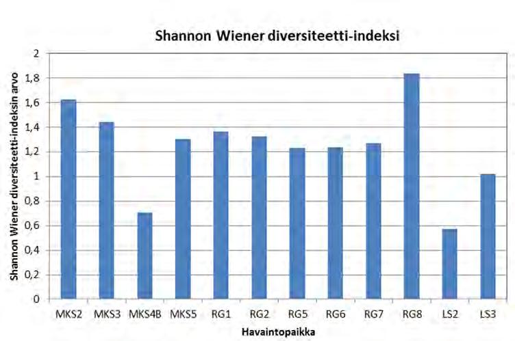 Kuva 6.30. Shannon Wiener diversiteetti-indeksit, jotka on laskettu Mustakuvun ja Rövargrundetin läjitysalueiden sekä Länsisataman vuoden 2017 näytteistä. Pysty-akselilla diversiteetti-arvo 6.