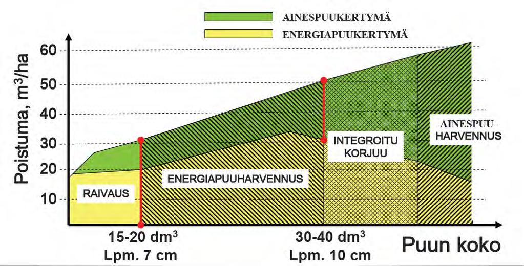 Ainespuu-energiapuu -raivaus rajanveto leimikkotasolla