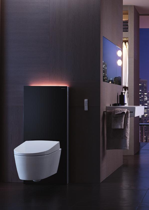 GEBERIT MONOLITH PLUS SELVÄ VALINTA Geberit Monolith Plus -WC-moduuli on oikea monilahjakkuus.