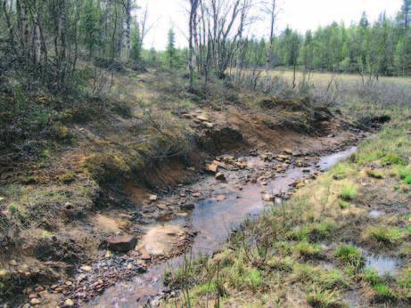 joiden tarkkailu luonnollisena osana kuuluu lakia noudattavan kaivajan arkipäivään. Tutkintapyyntö meni myös tiedoksi LKL:n lisäksi Lapin Ympäristökeskukseen ja Kilpailuvirastoon.