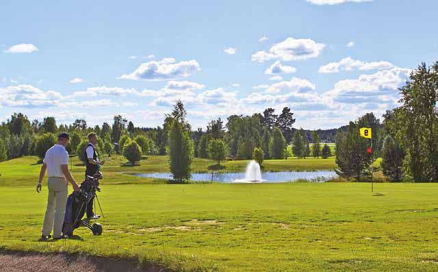 Kartanogolf, Joroinen HYVINVOINTI JA LIIKUNTA Frisbeegolf sopii koko perheelle. HYVINVOINTI JA LIIKUNTA Golf Frisbeegolf Joroisten Kartanogolf Kesällä 2018 Kartanogolf juhlii 30-vuotistaivaltaan.