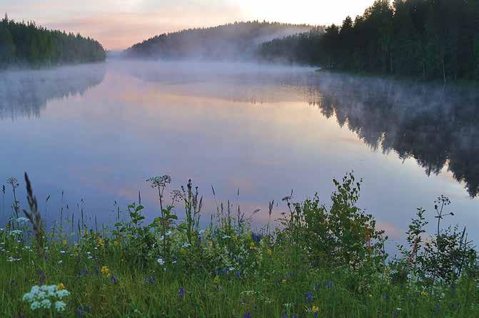 MAJOITUS MAJOITUS Savolaisella lomamökillä on helppo rentoutua. LOMAMÖKIT HEINÄVESI Heinäveden lomamökit Runsaasti vuokrattavia lomamökkejä Heinäveden vesistöjen rantamaisemissa. Mökkien tiedot: www.