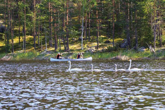 VESISTÖT JA LUONTO Saaristoiset järvenselät ja vanhat kanavat kannattaa jokaisen kokea ainakin kerran elämässään!
