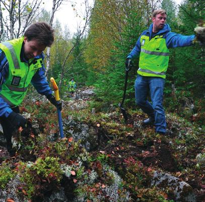 Lahopuita on sekä pystyssä että maata vasten makaavana. Alueesta hyötyvät erityisesti lahottajat ja erilaiset pistiäiset.