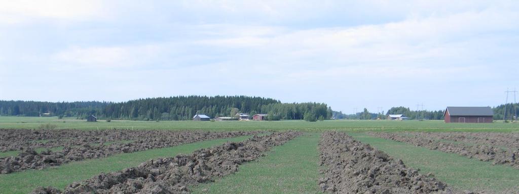 maataloustieteiden osasto Sisältö Maan rakenne