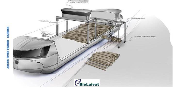 Inland / Arctic Timber