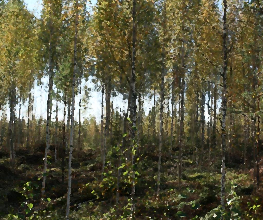 Suunnittelutoimiston tiedot Rakennuskohteen nimi ja osoite Mikkelin kaupunki tilakeskus Tilahakkeet Teknikontie 1 50600