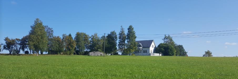 Kuva 23. Sokojan ja Yli-Sokojan kylärakenne. Nykyinen asutus on esitetty mustalla ja uudet rakennuspaikat punaisella värillä.