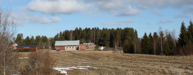 Alueella on myös paljon puustoa, joten näkymät ovat usein sulkeutuneita. Sokojalla toimii ruotsinkielinen ala-aste, esikoulu ja päiväkoti.