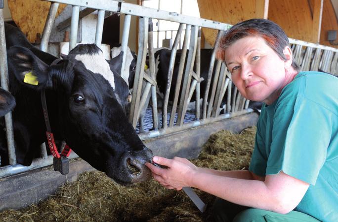 Westerlund, Nurmijärvi Johan Åberg, Parainen Merja Keisala Omistajat ProAgria Keskusten Liitto ry 500 Faba Osk 500