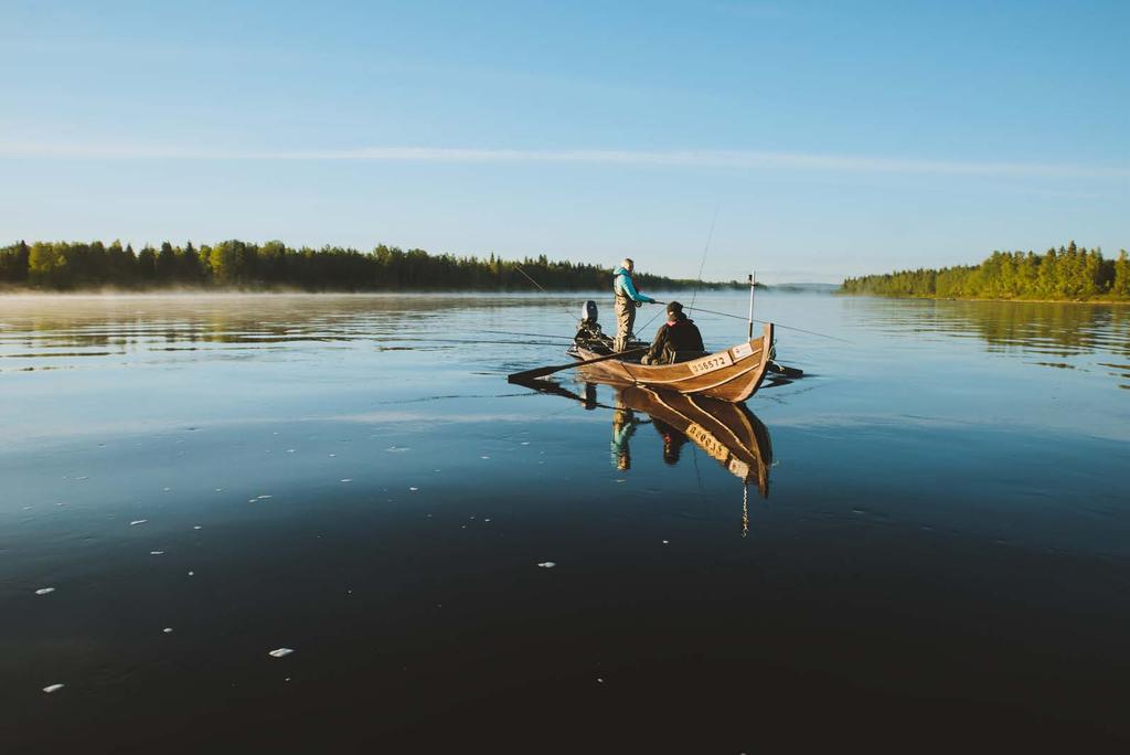 Kuuliainen turvallisuushakuinen Perinteet ja säännöt Riskien välttäminen Ihmisten tasa-arvoinen kohtelu Luonto ja ystävät Humanisti Kulttuurit Nöyrä ja vaatimaton