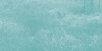 Abstract: The peatlands and