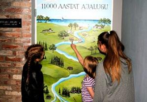Tekemistä riittää sekä isoille että pienille! ALPAKKATILA Niidu küla, Are vald, Pärnumaa +372 5812 1151 kaja@alpakafarm.
