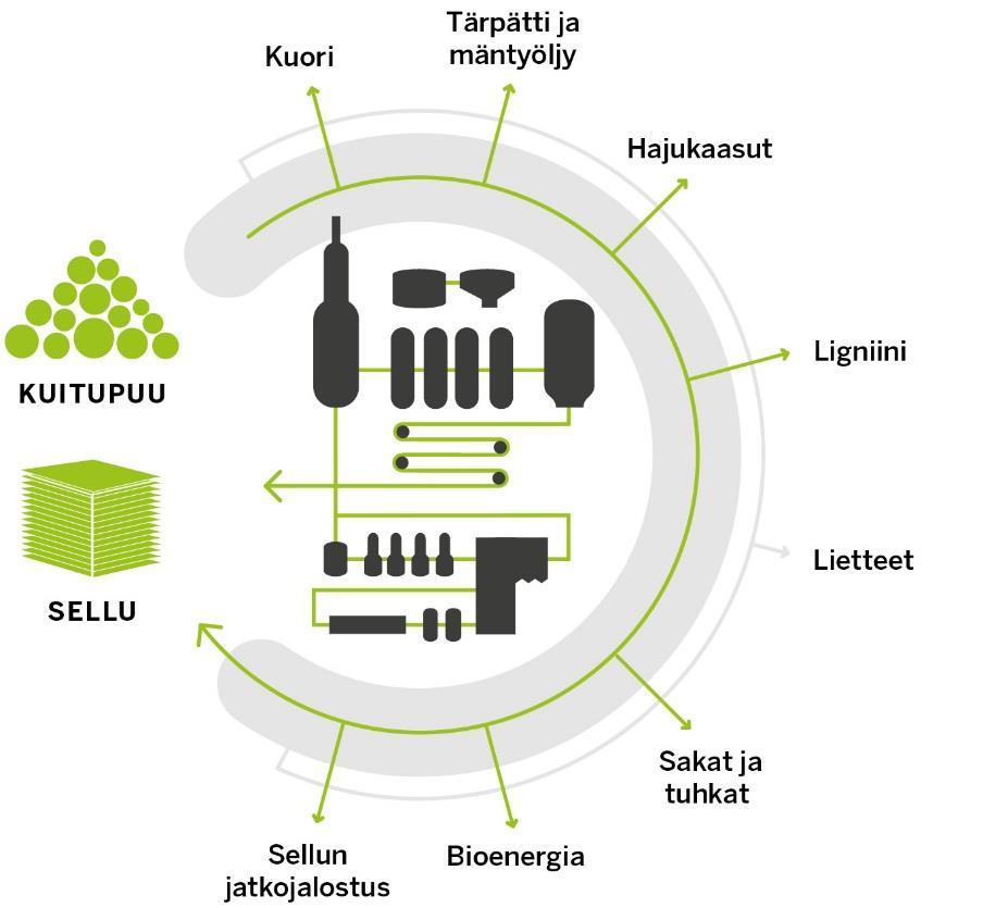 Metsä Groupin biotuotetehdas Biotuotteet Biotuotekonsepti sivuvirrat hyödynnetään 100 %:sti * Perinteisiä biotuotteita Jo toteutuneet uudet tuotteet * * * Uusia biopolttoaineita kuoresta ja