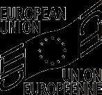 QD-01-17-611-FI-N EUROPEAN UNION U N I O N EUROPEENNE Tämän esitteen toimielinten yhteiselle käännös- ja