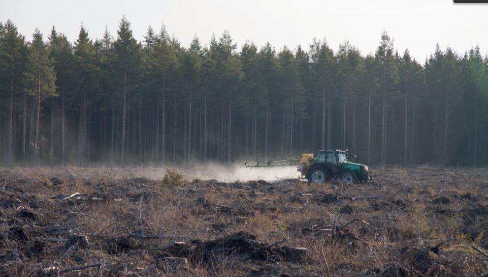 Tähtikudospistiäisen biologista Tuhoja havaittu myös Virossa 2008, 821 ha männikköä vioittunut ja tuhot jatkuvat edelleen Latviassa tuhot alkoivat 2013 ja laajentuivat 454 ha 2016 mennessä