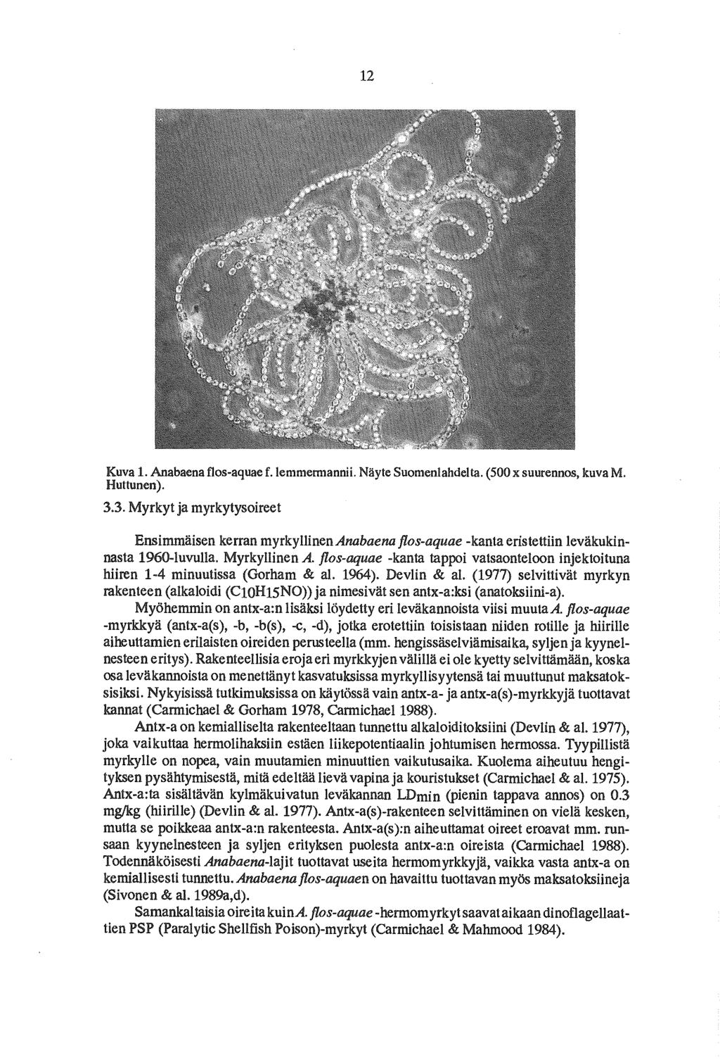 12 Kuva 1. Anabaena flos-aquae f. lemmermannii. Näyte Suomenlahdel ta. (500 x suurennos, kuva M. Huttunen). 3.