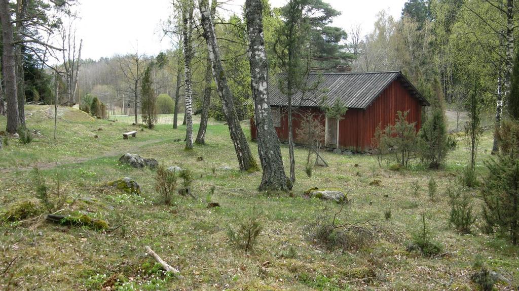 Tässä esityksessä Perinnebiotoopit suojelualueilla Metsähallituksen