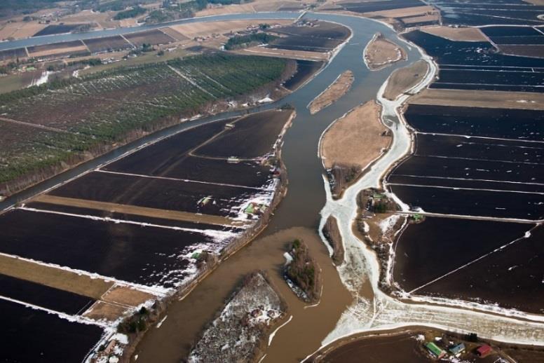 Loimijoen valuma-alue Keskeisiä haasteita maataloudesta
