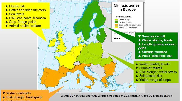 Ilmastonmuutoksen vaikutuksia maatalouteen Tulvariski Kuumat ja kuivat kesät Merenpinta Kasvitaudit, tuholaiset Satotaso Eläinterveys, hyvinvointi Kesän sademäärä Myrskyt, tulvat Kasvukauden pituus,
