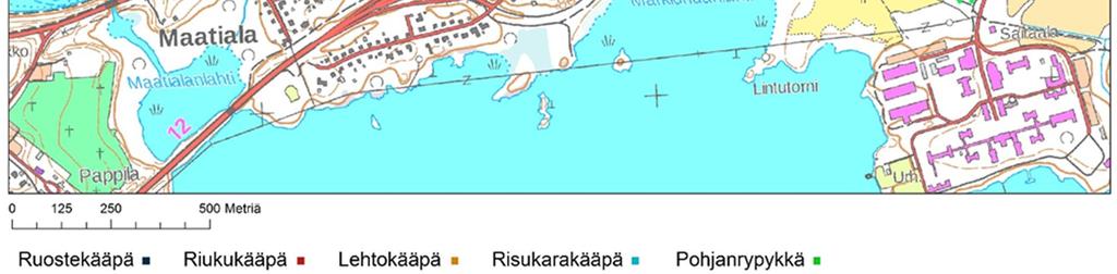 Muita harvinaisuuksia ovat kekovahakas (H. fornicata, vaarantunut, VU, kuva 7.), kyyhkyvahakas (H.