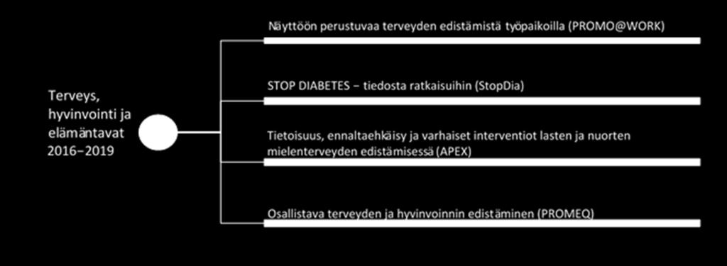 Kokonaisturvallisuus globaalissa ympäristössä -teemassa (2016) tutkimuksen keskiössä ovat suomalaisen yhteiskunnan kokonaisturvallisuus, toimintavarmuus sekä reagointi- ja riskinsietokyky.