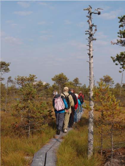 rakennetut reitit opasteineen, luontotornit, luontopolut.