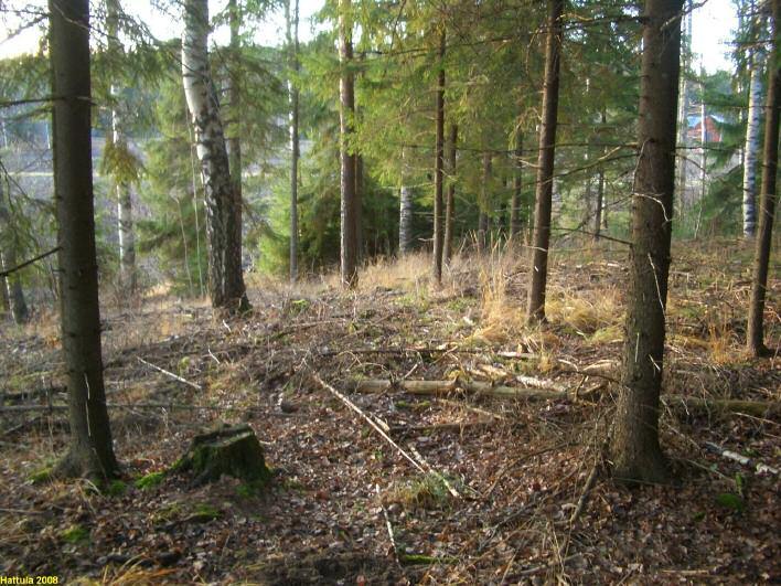 7 Asuinpaikkaa peltoon viettävän törmän reunalla. Kuvattu luoteeseen.