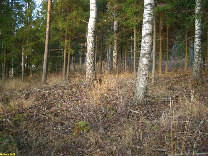HATTULA 88 HYRVÄLÄ HÄRKÄLÄNMÄKI N Rauh.