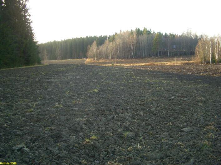 Tutkijat: Jussila T 2008 inventointi 8 Löydöt: Sijainti: Huomiot: KM 37608, kvartsi-iskoksia, Jussila T 2008, diar. 19.6.2008, pellosta.