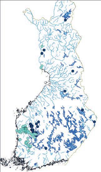 Light blue bullet = European beaver, dark blue bullet = North American beaver. Kun kallot ovat pitempiä, majavat ovat yli 7-vuotiaita, mutta tarkempaa ikää ei pystytä määrittämään.