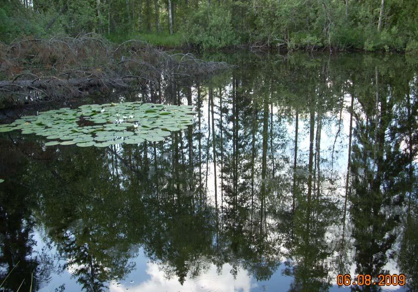 sähkökoekalastuksien pyyntipaikkojen