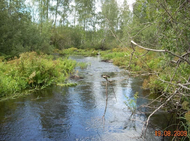 sähkökoekalastuksien pyyntipaikkojen