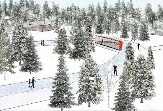 Alppiruusumetsä oli ideana hieno, mutta olisi saanut olla vieläkin metsäisempi ja luonnollisempi muodoiltaan. Suunnitelman muotokieleen kaivattiin lisää vaihtelua ja monimuotoisuutta.