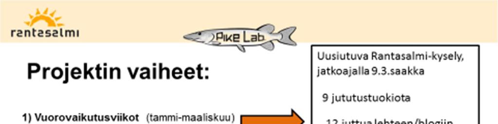 Sivu 06 1. UUSIUTUVA RANTASALMI 1.