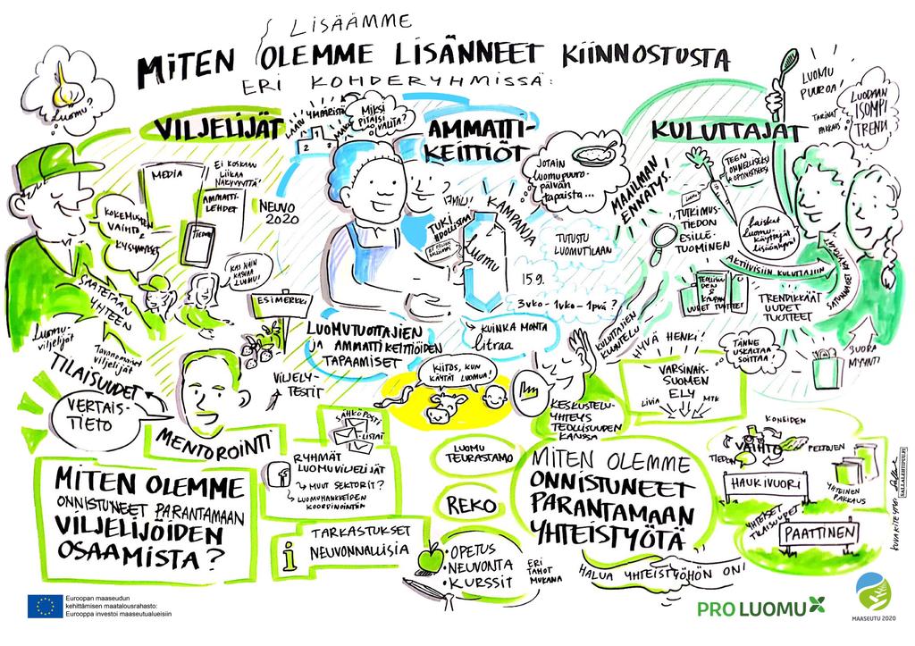 Kuva 9. Hankkeiden hyvät käytännöt. Luomufoorumin 2018 työpajan visualisointi, piirros Salla Lehtipuu.